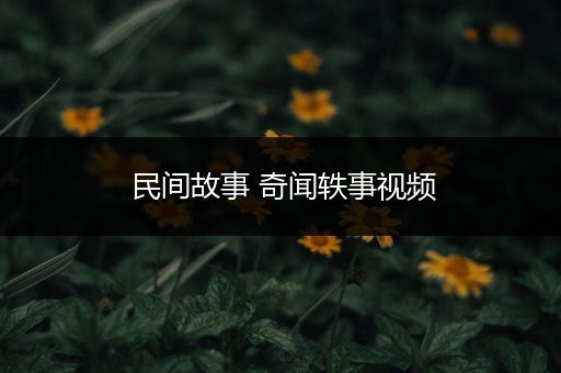 民间故事 奇闻轶事视频