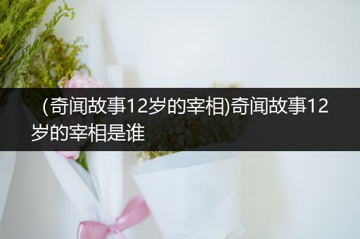 （奇闻故事12岁的宰相)奇闻故事12岁的宰相是谁