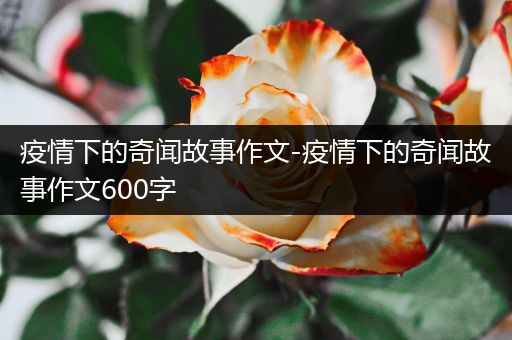 疫情下的奇闻故事作文-疫情下的奇闻故事作文600字