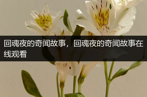 回魂夜的奇闻故事，回魂夜的奇闻故事在线观看