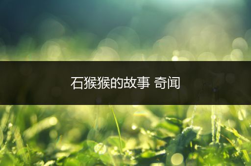 石猴猴的故事 奇闻