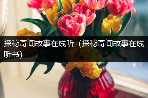 探秘奇闻故事在线听（探秘奇闻故事在线听书）