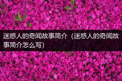 迷惑人的奇闻故事简介（迷惑人的奇闻故事简介怎么写）