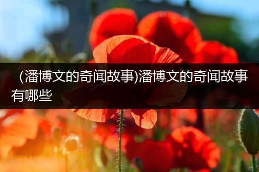 （潘博文的奇闻故事)潘博文的奇闻故事有哪些