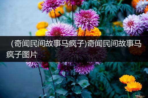 （奇闻民间故事马疯子)奇闻民间故事马疯子图片