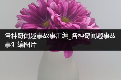 各种奇闻趣事故事汇编_各种奇闻趣事故事汇编图片