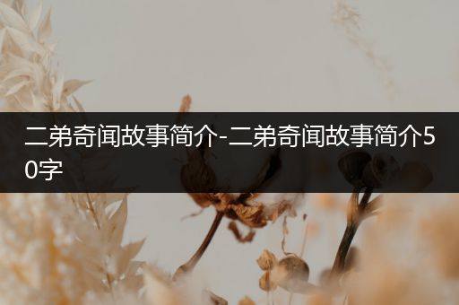 二弟奇闻故事简介-二弟奇闻故事简介50字