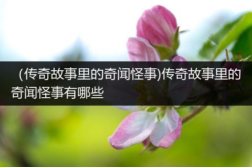 （传奇故事里的奇闻怪事)传奇故事里的奇闻怪事有哪些
