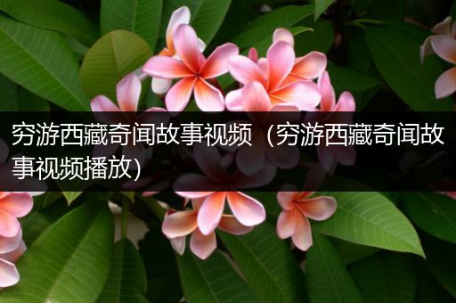 穷游西藏奇闻故事视频（穷游西藏奇闻故事视频播放）