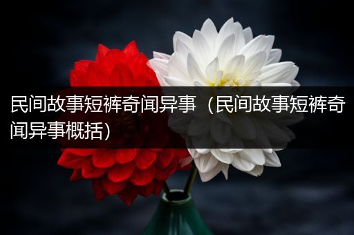 民间故事短裤奇闻异事（民间故事短裤奇闻异事概括）