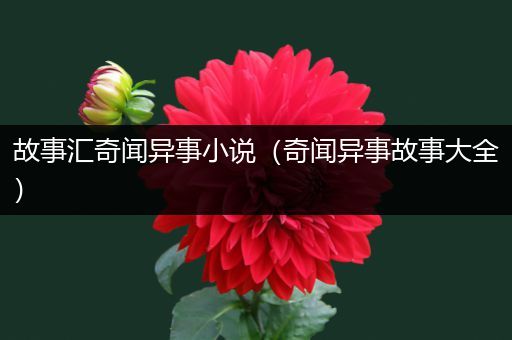 故事汇奇闻异事小说（奇闻异事故事大全）