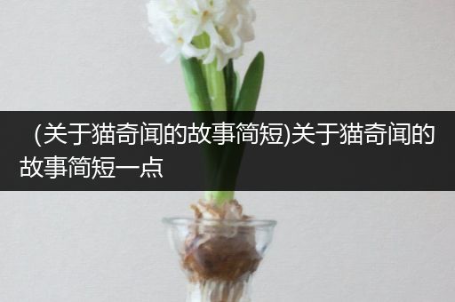 （关于猫奇闻的故事简短)关于猫奇闻的故事简短一点