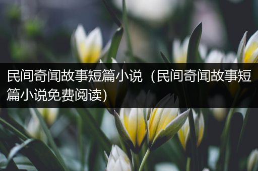 民间奇闻故事短篇小说（民间奇闻故事短篇小说免费阅读）