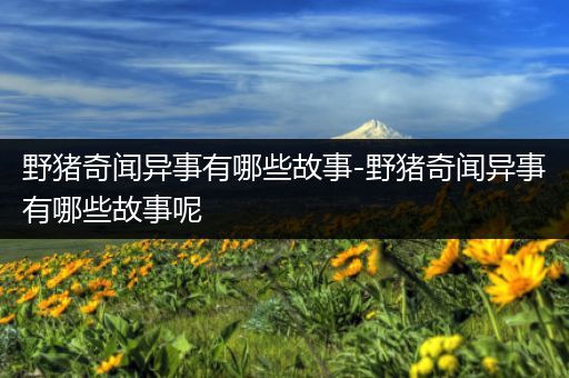 野猪奇闻异事有哪些故事-野猪奇闻异事有哪些故事呢