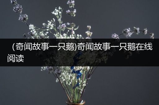 （奇闻故事一只鹅)奇闻故事一只鹅在线阅读