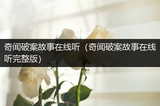 奇闻破案故事在线听（奇闻破案故事在线听完整版）