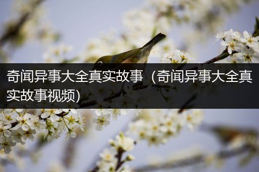 奇闻异事大全真实故事（奇闻异事大全真实故事视频）