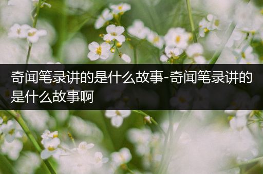 奇闻笔录讲的是什么故事-奇闻笔录讲的是什么故事啊