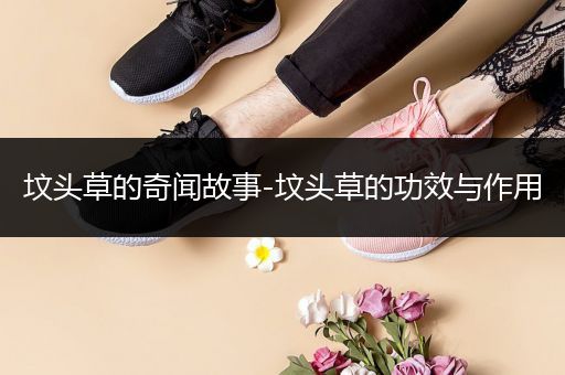 坟头草的奇闻故事-坟头草的功效与作用