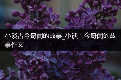 小谈古今奇闻的故事_小谈古今奇闻的故事作文