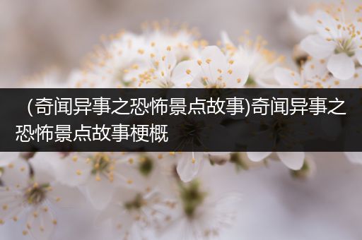 （奇闻异事之恐怖景点故事)奇闻异事之恐怖景点故事梗概