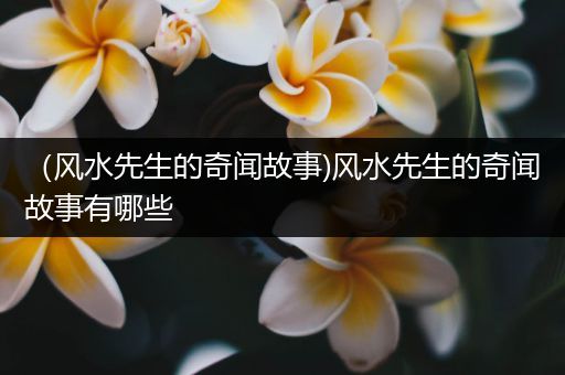 （风水先生的奇闻故事)风水先生的奇闻故事有哪些