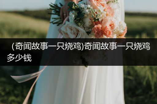 （奇闻故事一只烧鸡)奇闻故事一只烧鸡多少钱