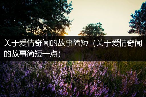 关于爱情奇闻的故事简短（关于爱情奇闻的故事简短一点）