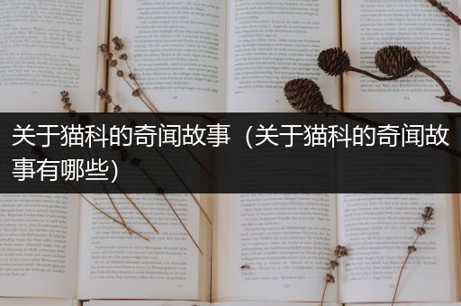 关于猫科的奇闻故事（关于猫科的奇闻故事有哪些）