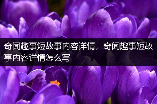 奇闻趣事短故事内容详情，奇闻趣事短故事内容详情怎么写