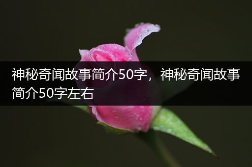 神秘奇闻故事简介50字，神秘奇闻故事简介50字左右