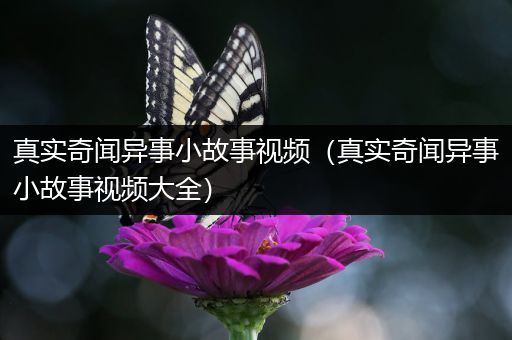 真实奇闻异事小故事视频（真实奇闻异事小故事视频大全）