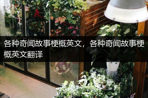 各种奇闻故事梗概英文，各种奇闻故事梗概英文翻译