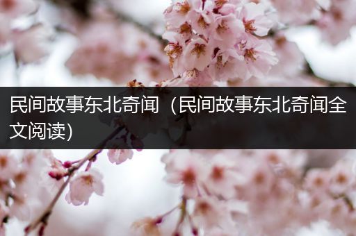 民间故事东北奇闻（民间故事东北奇闻全文阅读）