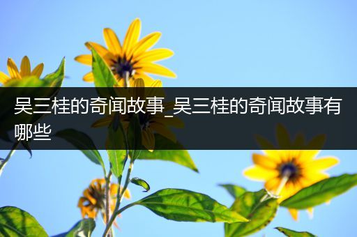 吴三桂的奇闻故事_吴三桂的奇闻故事有哪些