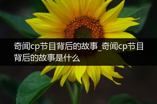 奇闻cp节目背后的故事_奇闻cp节目背后的故事是什么