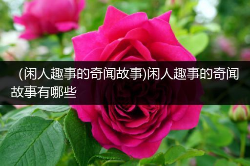（闲人趣事的奇闻故事)闲人趣事的奇闻故事有哪些
