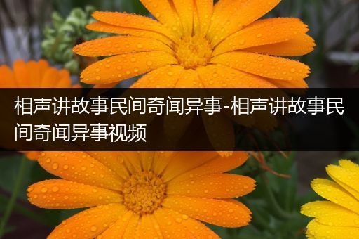 相声讲故事民间奇闻异事-相声讲故事民间奇闻异事视频