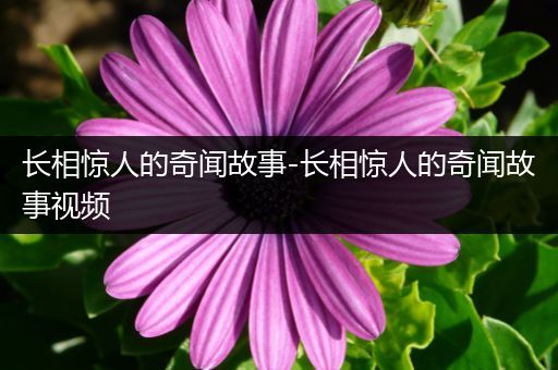 长相惊人的奇闻故事-长相惊人的奇闻故事视频