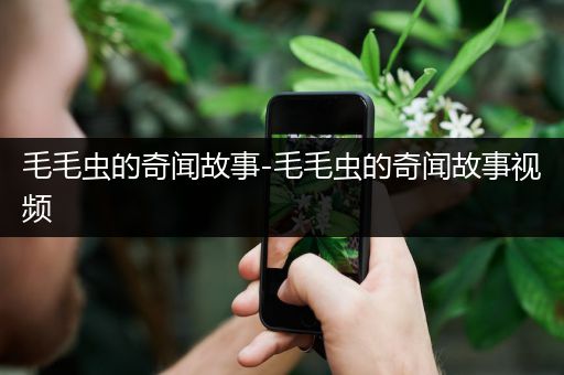 毛毛虫的奇闻故事-毛毛虫的奇闻故事视频
