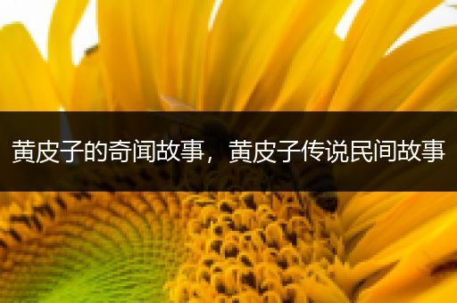 黄皮子的奇闻故事，黄皮子传说民间故事