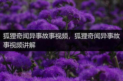 狐狸奇闻异事故事视频，狐狸奇闻异事故事视频讲解