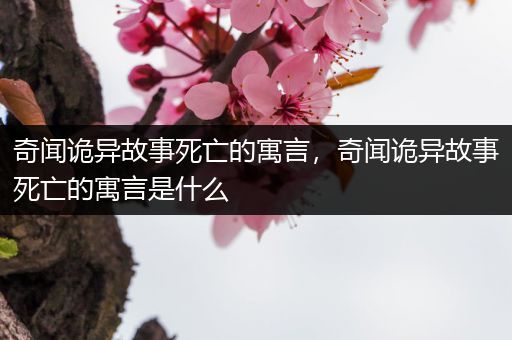 奇闻诡异故事死亡的寓言，奇闻诡异故事死亡的寓言是什么