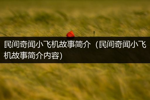 民间奇闻小飞机故事简介（民间奇闻小飞机故事简介内容）