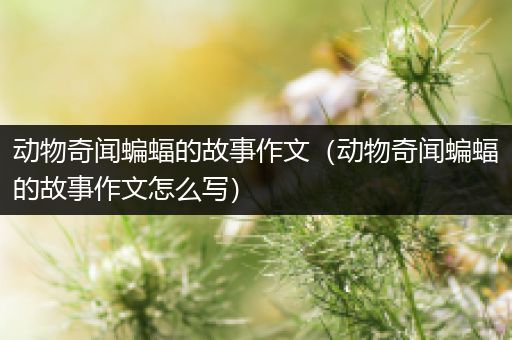 动物奇闻蝙蝠的故事作文（动物奇闻蝙蝠的故事作文怎么写）