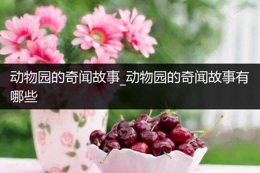 动物园的奇闻故事_动物园的奇闻故事有哪些
