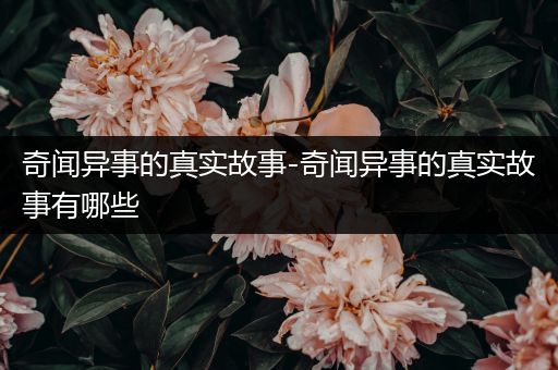 奇闻异事的真实故事-奇闻异事的真实故事有哪些