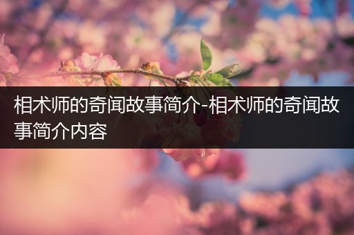 相术师的奇闻故事简介-相术师的奇闻故事简介内容