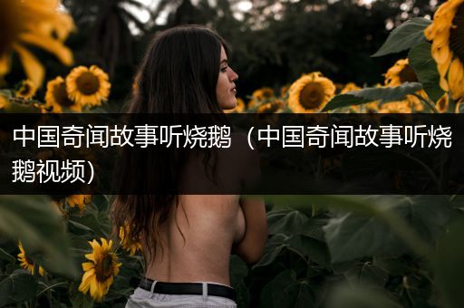 中国奇闻故事听烧鹅（中国奇闻故事听烧鹅视频）