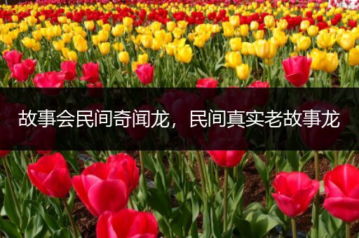 故事会民间奇闻龙，民间真实老故事龙